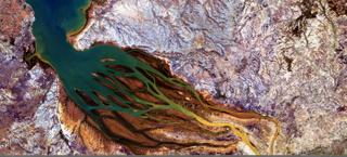 Illustration for article titled Can You Guess Where On Earth These Unearthly Satellite Images Come From?